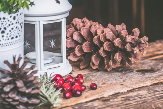 3 ways to boost the company culture during the holiday season