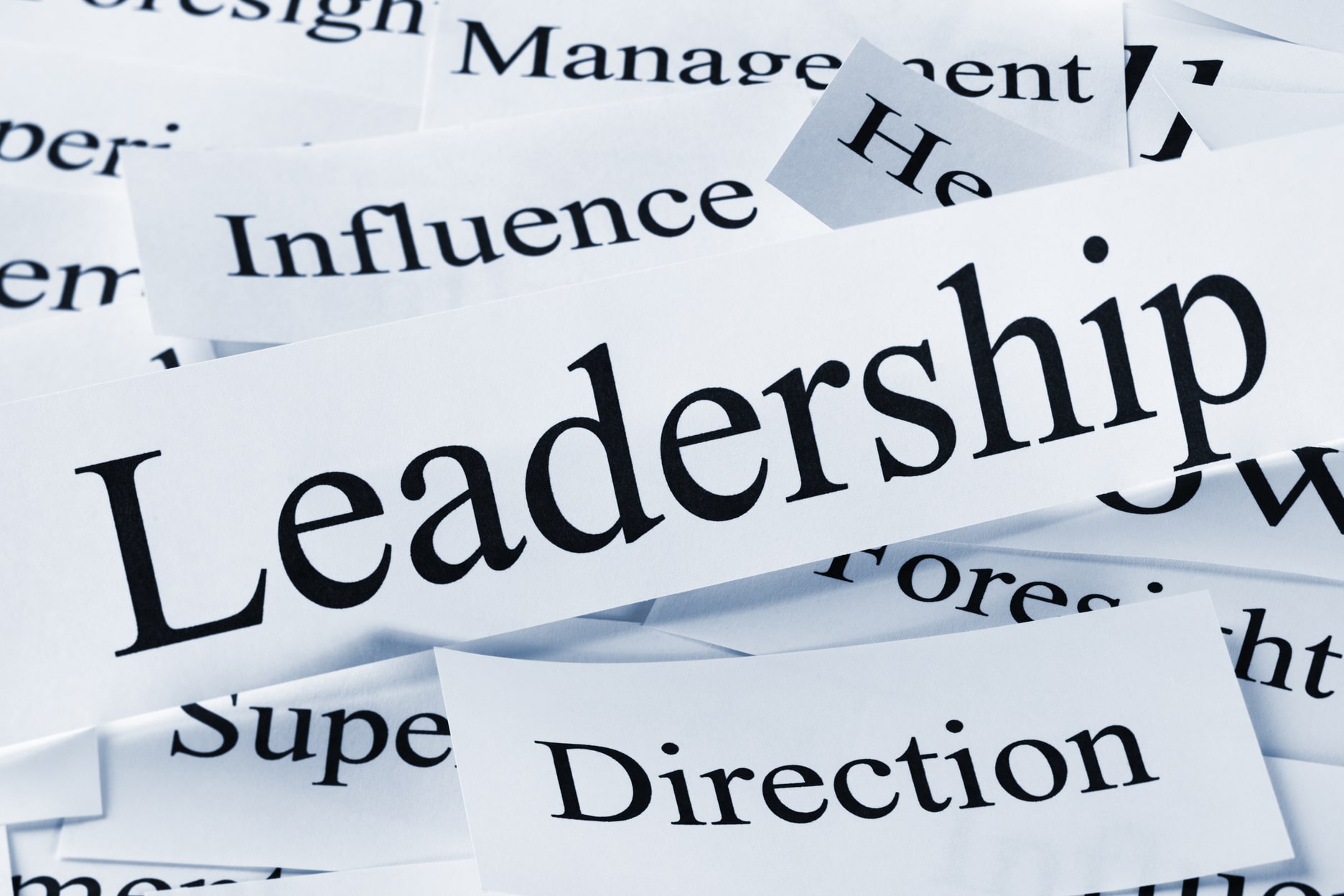 Is Leadership a Skill or a Quality? - AIESEC | Blog