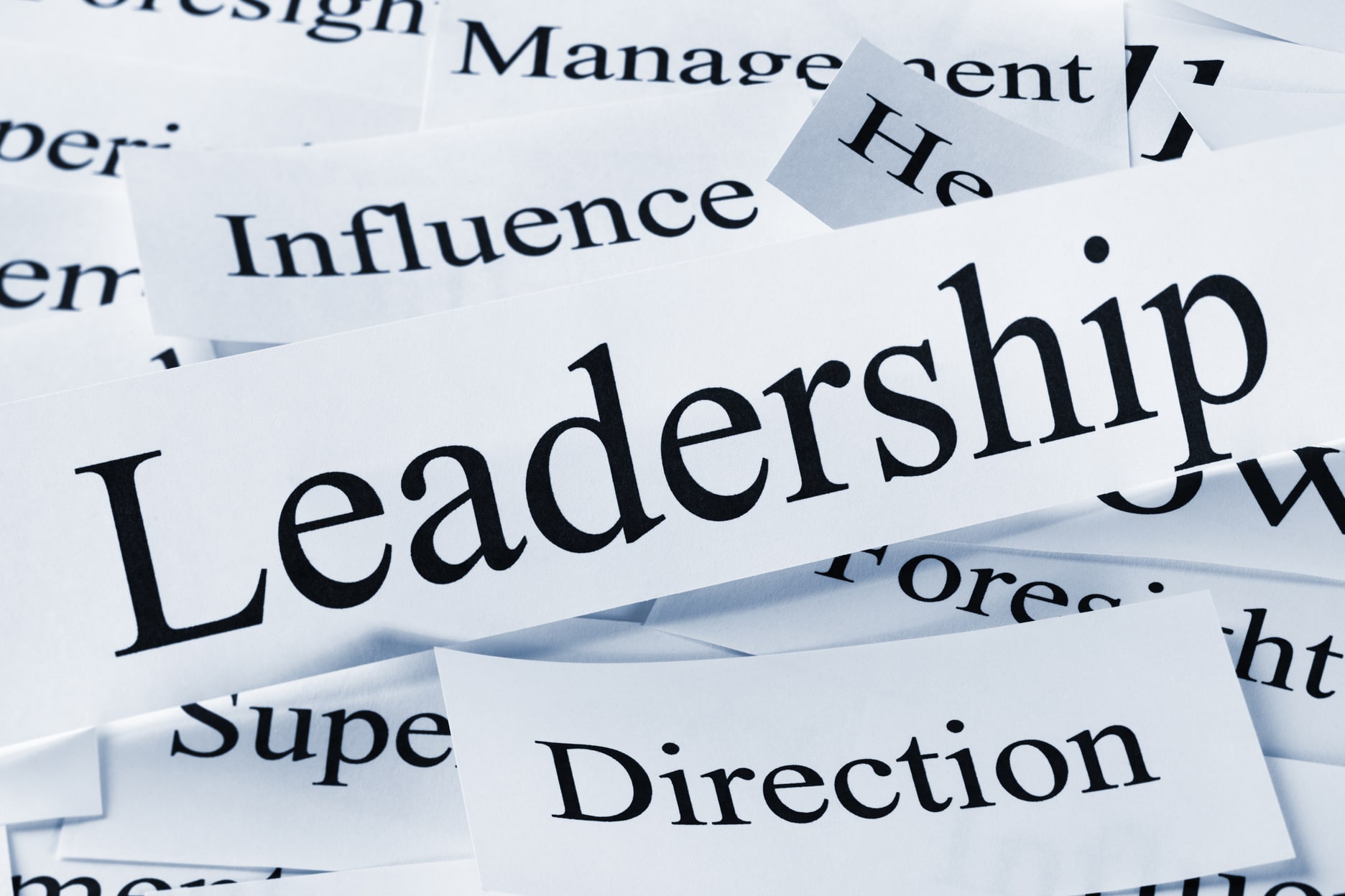 Image result for leadership